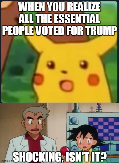 Our president understands the importance of essential workers. | WHEN YOU REALIZE ALL THE ESSENTIAL PEOPLE VOTED FOR TRUMP; SHOCKING, ISN'T IT? | image tagged in surprised pikachu,professor oak,ash ketchum,essential,economy,coronavirus | made w/ Imgflip meme maker