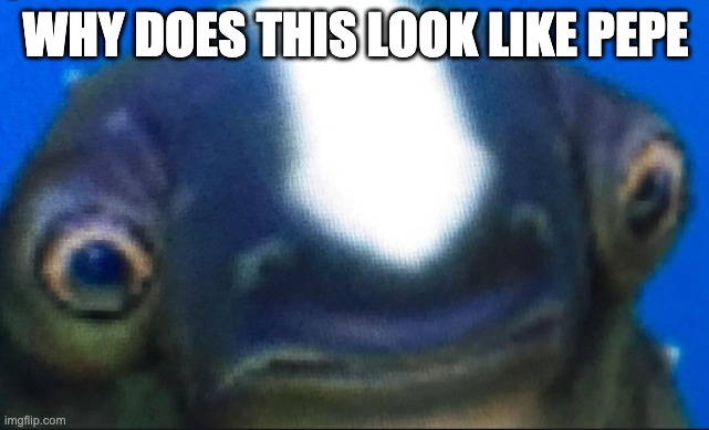 pepefish | WHY DOES THIS LOOK LIKE PEPE | image tagged in subnautica seamoth cuddlefish | made w/ Imgflip meme maker