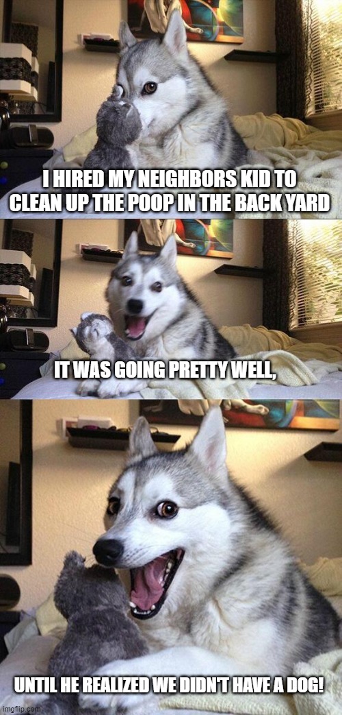 Bad Pun Dog | I HIRED MY NEIGHBORS KID TO CLEAN UP THE POOP IN THE BACK YARD; IT WAS GOING PRETTY WELL, UNTIL HE REALIZED WE DIDN'T HAVE A DOG! | image tagged in memes,bad pun dog | made w/ Imgflip meme maker