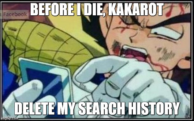 Vegeta Face | BEFORE I DIE, KAKAROT; DELETE MY SEARCH HISTORY | image tagged in vegeta face | made w/ Imgflip meme maker