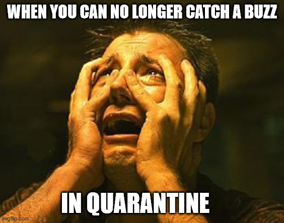 desperation | WHEN YOU CAN NO LONGER CATCH A BUZZ; IN QUARANTINE | image tagged in desperation | made w/ Imgflip meme maker