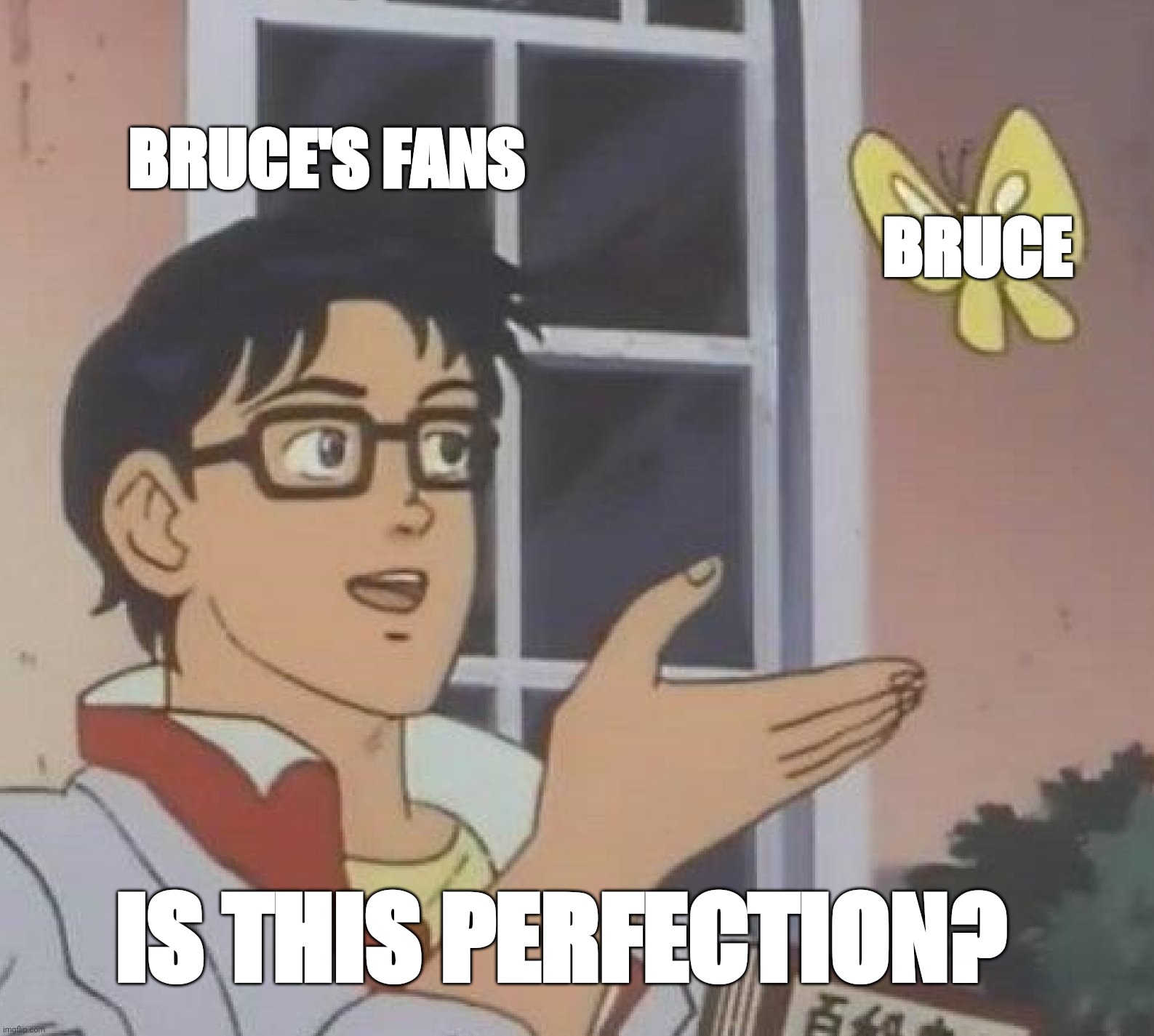 Is This A Pigeon | BRUCE'S FANS; BRUCE; IS THIS PERFECTION? | image tagged in memes,is this a pigeon | made w/ Imgflip meme maker