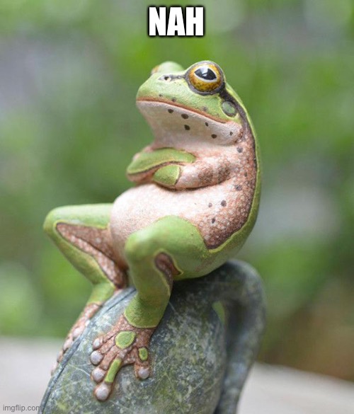 nah frog | NAH | image tagged in nah frog | made w/ Imgflip meme maker