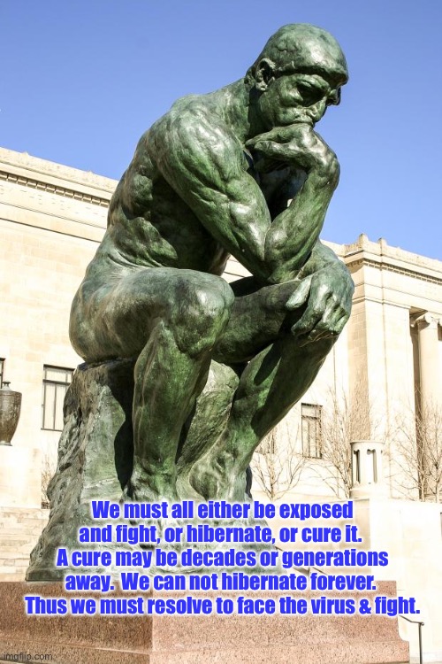 The Thinker | We must all either be exposed and fight, or hibernate, or cure it.  A cure may be decades or generations away.  We can not hibernate forever | image tagged in the thinker | made w/ Imgflip meme maker