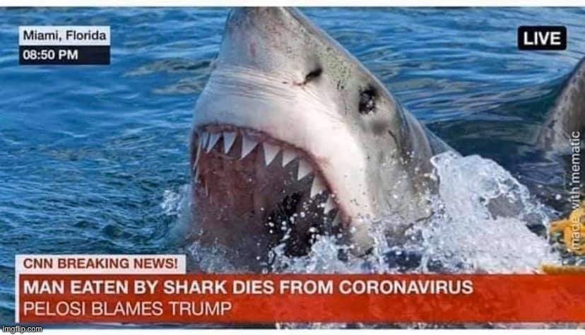 Another Coronavirus death folks | image tagged in cnn fake news,maga | made w/ Imgflip meme maker