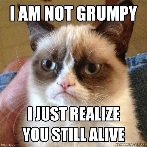 My wishes u to die | image tagged in funny memes,grumpy cat insults,funny cats,whish,crazy | made w/ Imgflip meme maker
