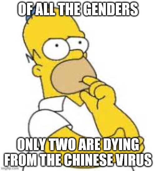 Homer Simpson Hmmmm | OF ALL THE GENDERS; ONLY TWO ARE DYING FROM THE CHINESE VIRUS | image tagged in homer simpson hmmmm | made w/ Imgflip meme maker