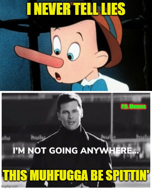 I NEVER TELL LIES; P.D. Memes; THIS MUHFUGGA BE SPITTIN' | image tagged in tom brady,patriots,pinocchio,football,nfl memes,nfl | made w/ Imgflip meme maker