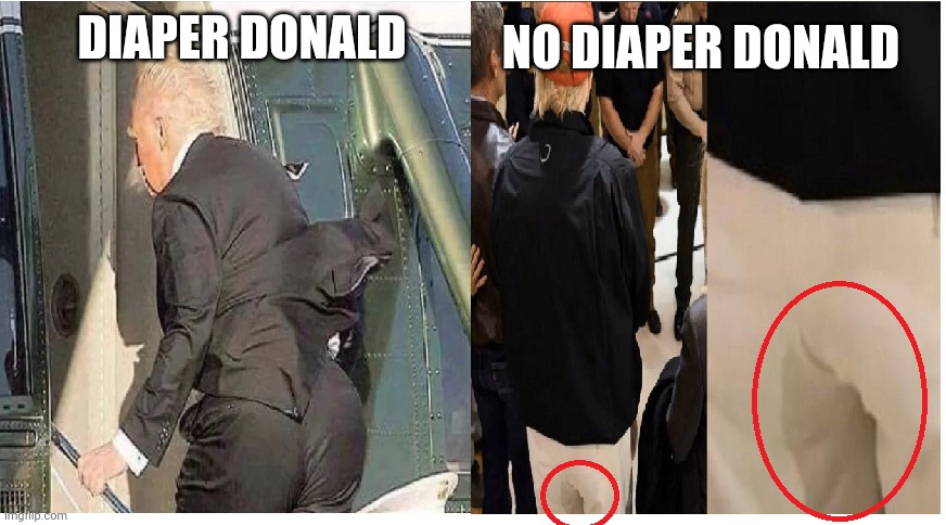 Diaper Donald | NO DIAPER DONALD; DIAPER DONALD | image tagged in donald trump,joe biden,conservatives,liberals,bernie sanders | made w/ Imgflip meme maker