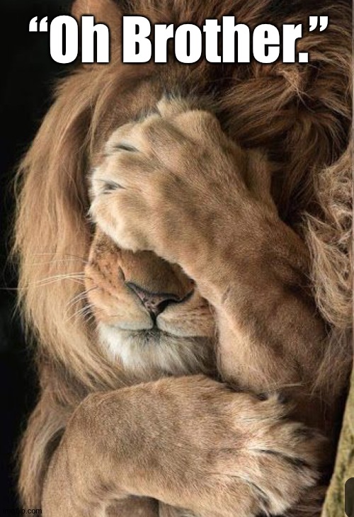 “Oh Brother.” | made w/ Imgflip meme maker