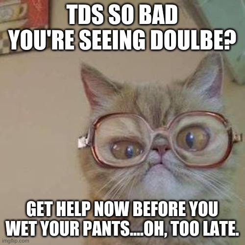 Funny Cat with Glasses | TDS SO BAD YOU'RE SEEING DOULBE? GET HELP NOW BEFORE YOU WET YOUR PANTS....OH, TOO LATE. | image tagged in funny cat with glasses | made w/ Imgflip meme maker