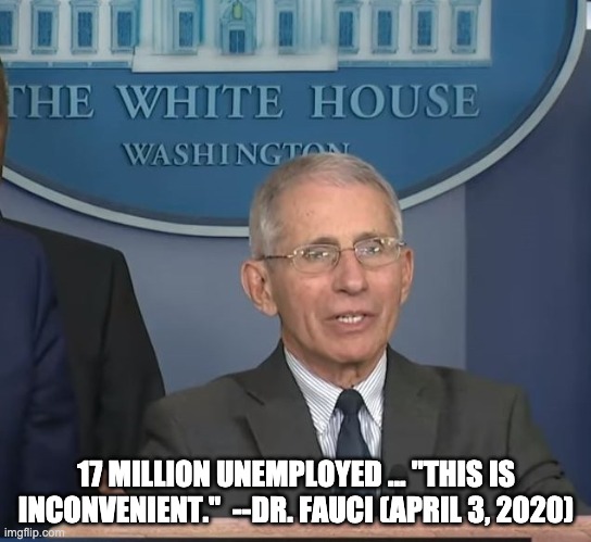 Dr Fauci | 17 MILLION UNEMPLOYED ... "THIS IS INCONVENIENT."  --DR. FAUCI (APRIL 3, 2020) | image tagged in dr fauci | made w/ Imgflip meme maker