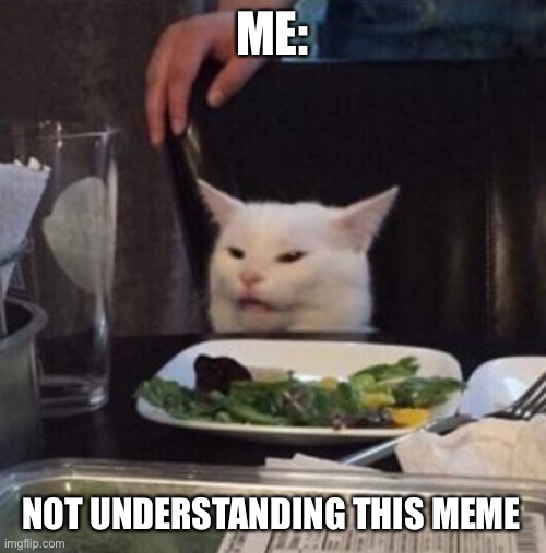 Annoyed White Cat | ME: NOT UNDERSTANDING THIS MEME | image tagged in annoyed white cat | made w/ Imgflip meme maker