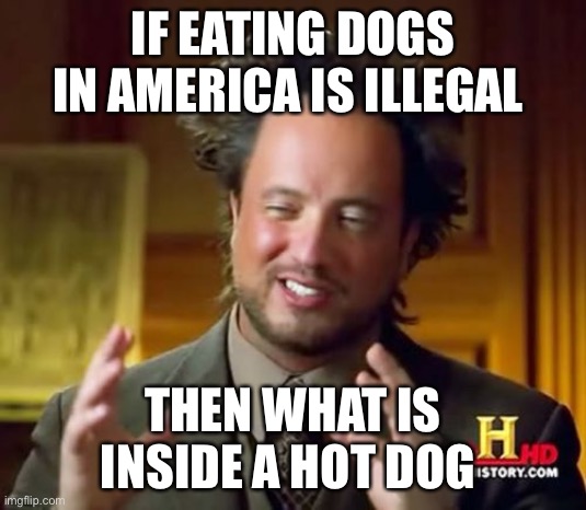 Aliens Guy | IF EATING DOGS IN AMERICA IS ILLEGAL; THEN WHAT IS INSIDE A HOT DOG | image tagged in aliens guy | made w/ Imgflip meme maker