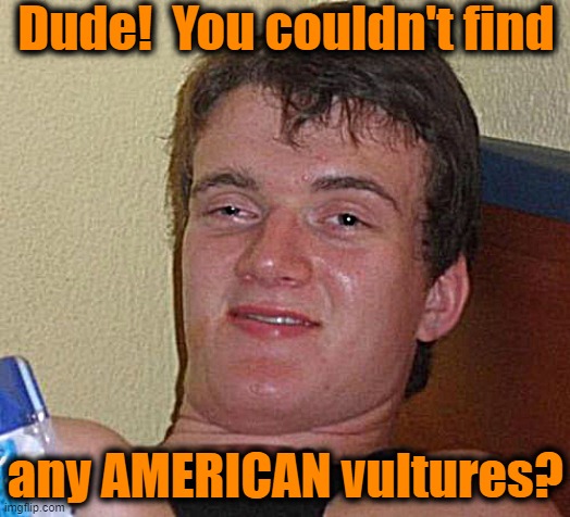 10 Guy Meme | Dude!  You couldn't find any AMERICAN vultures? | image tagged in memes,10 guy | made w/ Imgflip meme maker