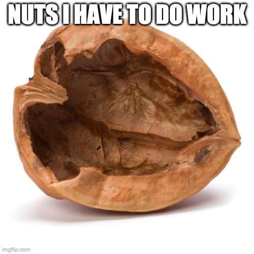 Nutshell | NUTS I HAVE TO DO WORK | image tagged in nutshell,nuts | made w/ Imgflip meme maker