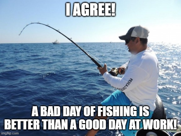 fishing  | I AGREE! A BAD DAY OF FISHING IS BETTER THAN A GOOD DAY AT WORK! | image tagged in fishing | made w/ Imgflip meme maker