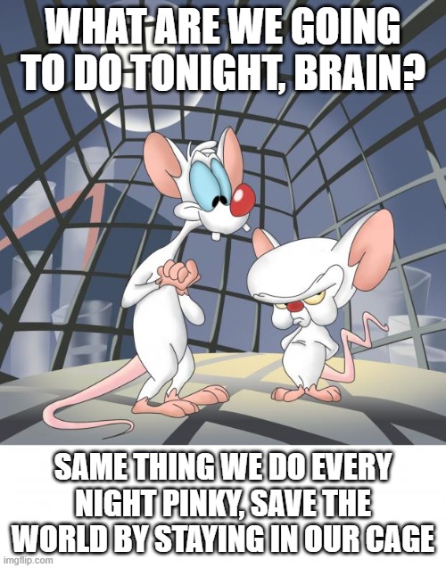 Pinky and the brain | WHAT ARE WE GOING TO DO TONIGHT, BRAIN? SAME THING WE DO EVERY NIGHT PINKY, SAVE THE WORLD BY STAYING IN OUR CAGE | image tagged in pinky and the brain,quarantine,cage,politics,memes,funny | made w/ Imgflip meme maker