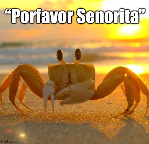 “Porfavor Senorita” | made w/ Imgflip meme maker