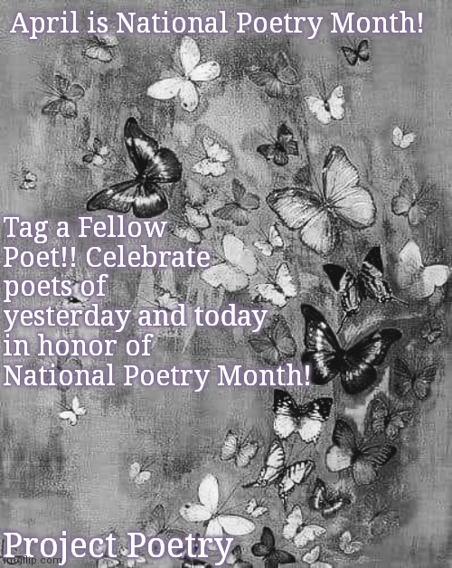 Project Poetry | April is National Poetry Month! Tag a Fellow Poet!! Celebrate poets of yesterday and today in honor of National Poetry Month! Project Poetry | image tagged in national,poetry,world record | made w/ Imgflip meme maker