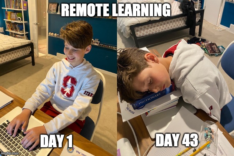 REMOTE LEARNING; DAY 1; DAY 43 | image tagged in memes | made w/ Imgflip meme maker