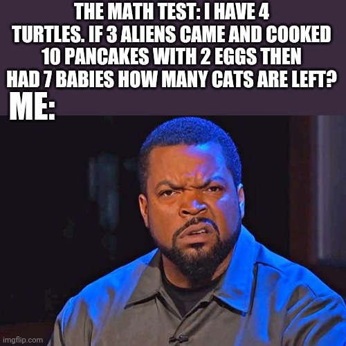 Wtf Face | THE MATH TEST: I HAVE 4 TURTLES. IF 3 ALIENS CAME AND COOKED 10 PANCAKES WITH 2 EGGS THEN HAD 7 BABIES HOW MANY CATS ARE LEFT? ME: | image tagged in wtf face | made w/ Imgflip meme maker