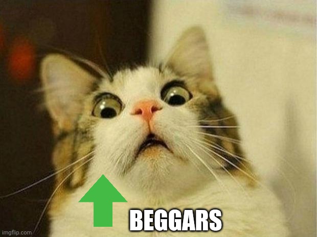 Scared Cat | BEGGARS | image tagged in memes,scared cat | made w/ Imgflip meme maker