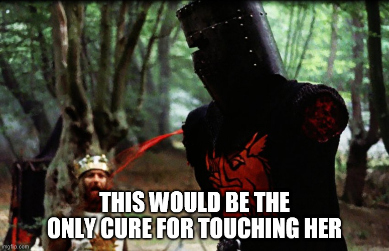 Monty Python Black Knight | THIS WOULD BE THE ONLY CURE FOR TOUCHING HER | image tagged in monty python black knight | made w/ Imgflip meme maker