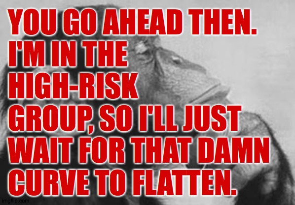 Monkey Rodin Thinker | YOU GO AHEAD THEN.
I'M IN THE
HIGH-RISK
GROUP, SO I'LL JUST
WAIT FOR THAT DAMN
CURVE TO FLATTEN. | image tagged in monkey rodin thinker | made w/ Imgflip meme maker