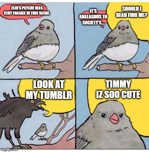 annoyed bird | SHOULD I READ FIND ME? IT'S ANALAGOUS TO SOCIETY'S... ELIO'S PSYCHE WAS VERY FRAGILE IN THIS SCENE. TIMMY IZ SOO CUTE; LOOK AT MY TUMBLR | image tagged in annoyed bird | made w/ Imgflip meme maker