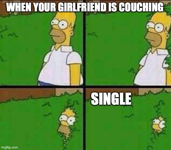 Homer Simpson in Bush - Large | WHEN YOUR GIRLFRIEND IS COUCHING; SINGLE | image tagged in homer simpson in bush - large | made w/ Imgflip meme maker