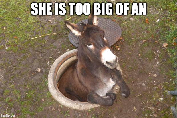 Asshole | SHE IS TOO BIG OF AN | image tagged in asshole | made w/ Imgflip meme maker