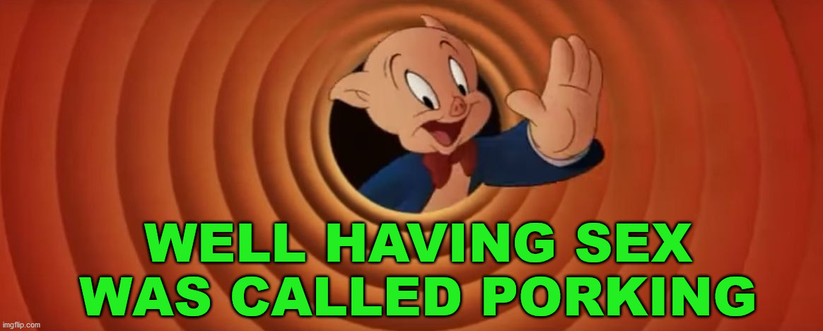 Porky Pig That's All Folks | WELL HAVING SEX WAS CALLED PORKING | image tagged in porky pig that's all folks | made w/ Imgflip meme maker