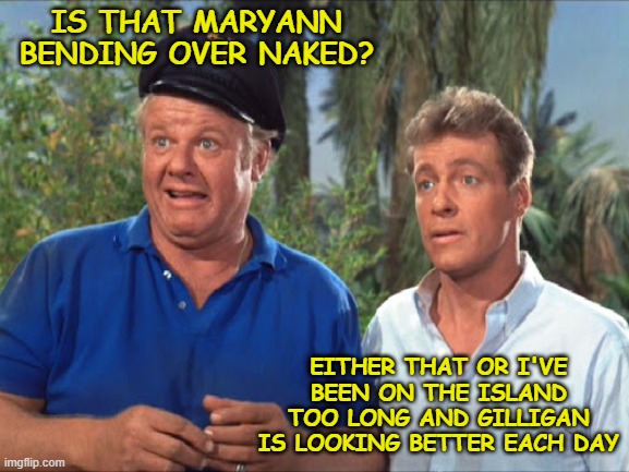 IS THAT MARYANN BENDING OVER NAKED? EITHER THAT OR I'VE BEEN ON THE ISLAND TOO LONG AND GILLIGAN IS LOOKING BETTER EACH DAY | image tagged in gilligan's island,the professor,the skipper,gilligan,maryann | made w/ Imgflip meme maker