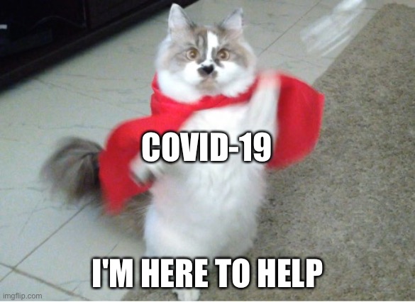 To the rescue  | COVID-19 I'M HERE TO HELP | image tagged in to the rescue | made w/ Imgflip meme maker