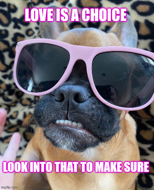 Love is a choice | LOVE IS A CHOICE; LOOK INTO THAT TO MAKE SURE | image tagged in i love you,frug | made w/ Imgflip meme maker