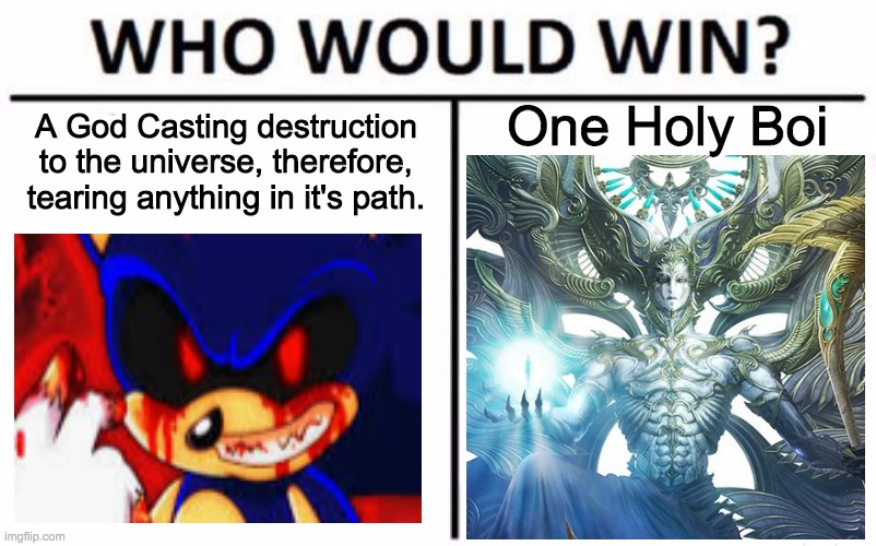 Who Would Win? | One Holy Boi; A God Casting destruction to the universe, therefore, tearing anything in it's path. | image tagged in memes,who would win | made w/ Imgflip meme maker