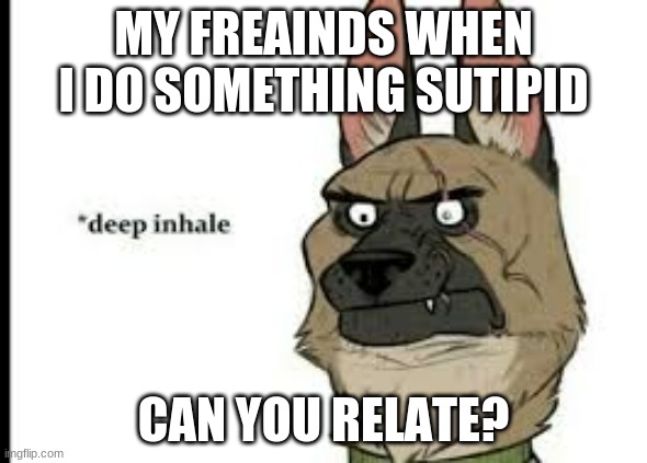 MY FREAINDS WHEN I DO SOMETHING SUTIPID; CAN YOU RELATE? | made w/ Imgflip meme maker