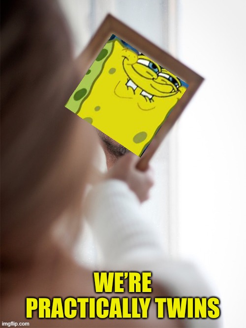 WE’RE PRACTICALLY TWINS | made w/ Imgflip meme maker