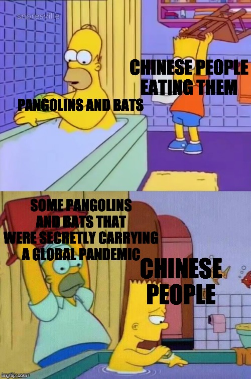 Homer revenge | CHINESE PEOPLE EATING THEM; PANGOLINS AND BATS; SOME PANGOLINS AND BATS THAT WERE SECRETLY CARRYING A GLOBAL PANDEMIC; CHINESE PEOPLE | image tagged in homer revenge | made w/ Imgflip meme maker