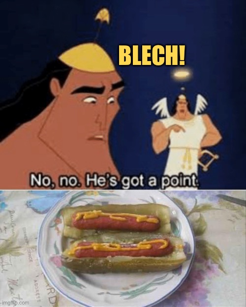 I guess it’s like extra relish? | BLECH! | image tagged in no no he's got a point,hot dogs,memes,funny | made w/ Imgflip meme maker