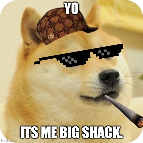 Big shack | YO; ITS ME BIG SHACK. | image tagged in memes,doge | made w/ Imgflip meme maker