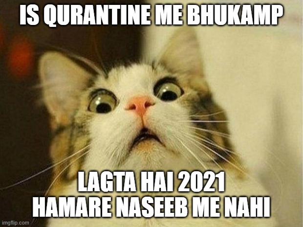 Scared Cat Meme | IS QURANTINE ME BHUKAMP; LAGTA HAI 2021 HAMARE NASEEB ME NAHI | image tagged in memes,scared cat | made w/ Imgflip meme maker