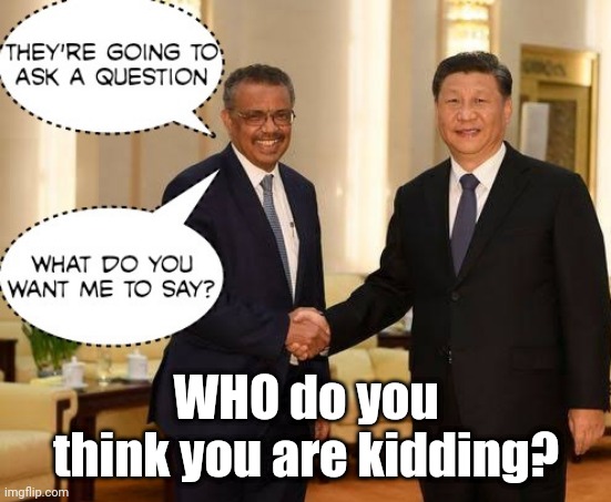 WHO China | WHO do you think you are kidding? | image tagged in china,who,coverup,in their pocket,lapdog,coronavirus | made w/ Imgflip meme maker