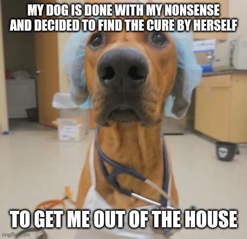 Dog Doctor | MY DOG IS DONE WITH MY NONSENSE AND DECIDED TO FIND THE CURE BY HERSELF; TO GET ME OUT OF THE HOUSE | image tagged in dog doctor | made w/ Imgflip meme maker