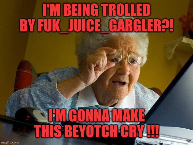 Grandma Finds The Internet | I'M BEING TROLLED BY FUK_JUICE_GARGLER?! I'M GONNA MAKE THIS BEYOTCH CRY !!! | image tagged in memes,grandma finds the internet | made w/ Imgflip meme maker