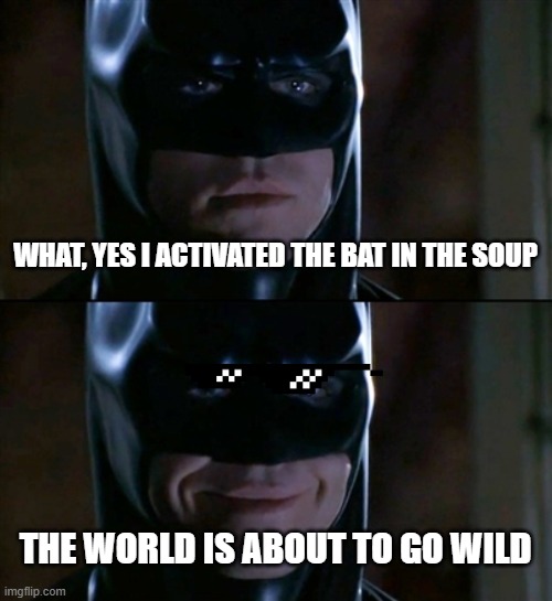 Batman Smiles Meme | WHAT, YES I ACTIVATED THE BAT IN THE SOUP; THE WORLD IS ABOUT TO GO WILD | image tagged in memes,batman smiles | made w/ Imgflip meme maker