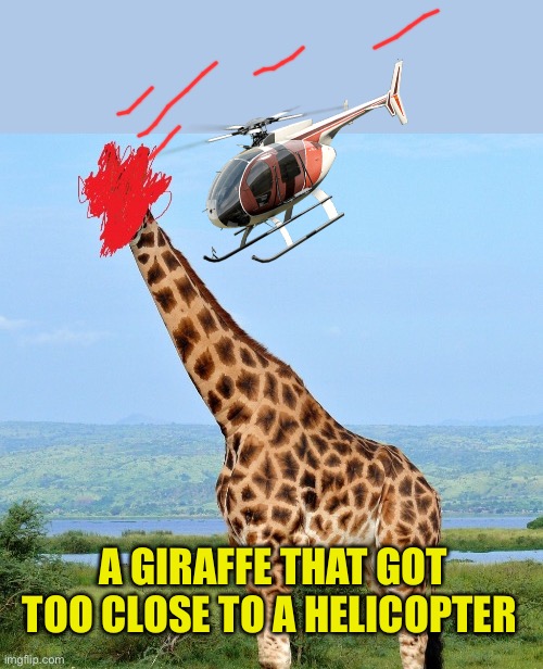 A GIRAFFE THAT GOT TOO CLOSE TO A HELICOPTER | made w/ Imgflip meme maker