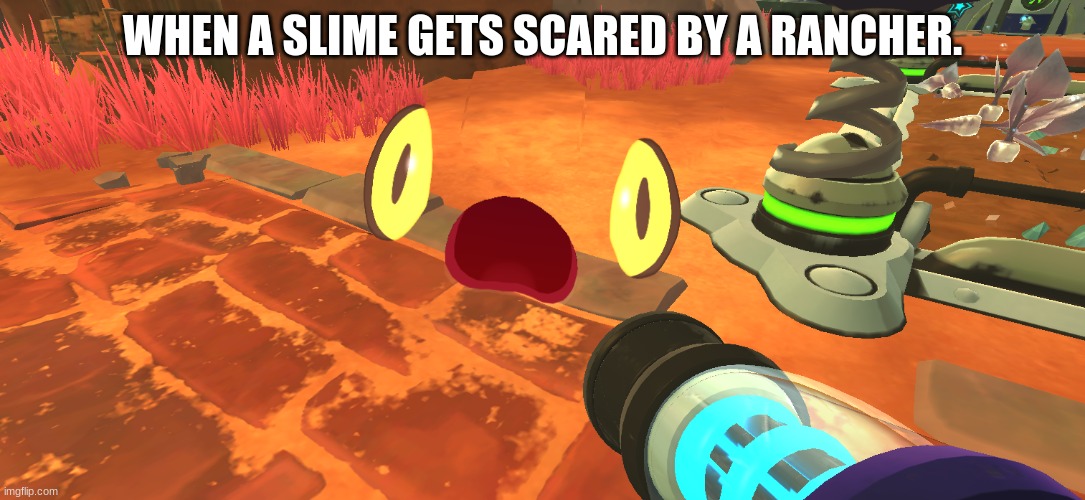 slime rancher meme. | WHEN A SLIME GETS SCARED BY A RANCHER. | image tagged in video games | made w/ Imgflip meme maker