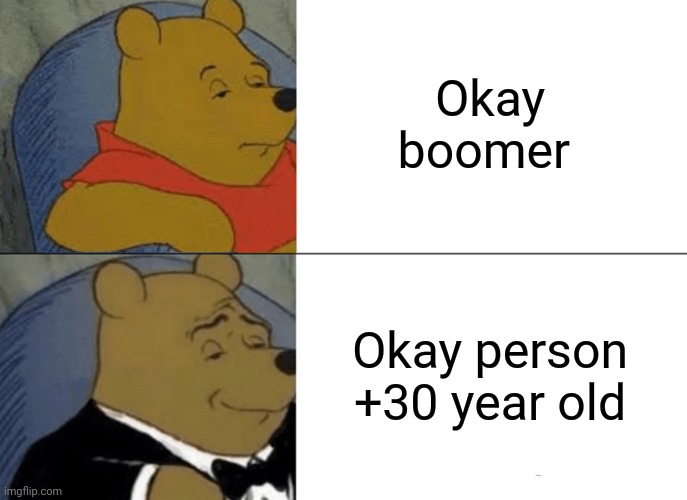Tuxedo Winnie The Pooh | Okay boomer; Okay person +30 year old | image tagged in memes,tuxedo winnie the pooh | made w/ Imgflip meme maker